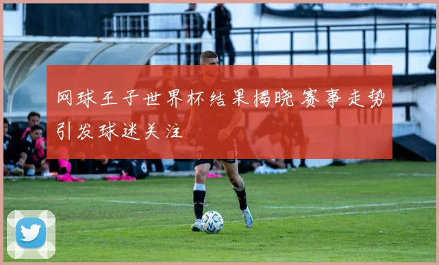 网球王子世界杯结果揭晓 赛事走势引发球迷关注