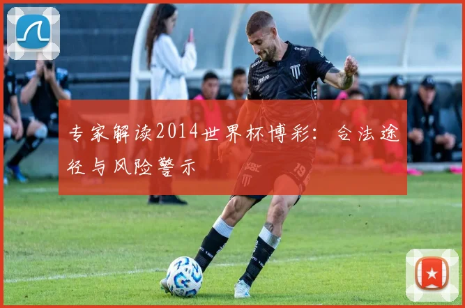 专家解读2014世界杯博彩:合法途径与风险警示