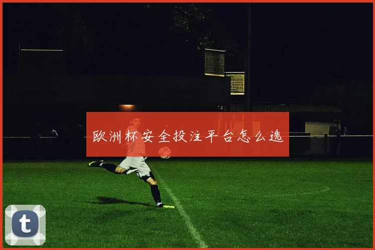 欧洲杯安全投注平台怎么选