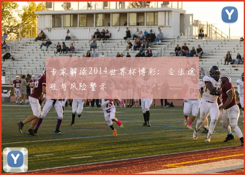 专家解读2014世界杯博彩：合法途径与风险警示