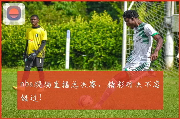 nba现场直播总决赛，精彩对决不容错过！