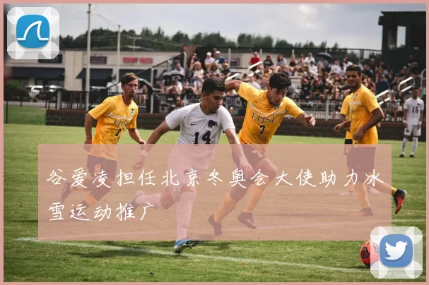 谷爱凌担任北京冬奥会大使助力冰雪运动推广