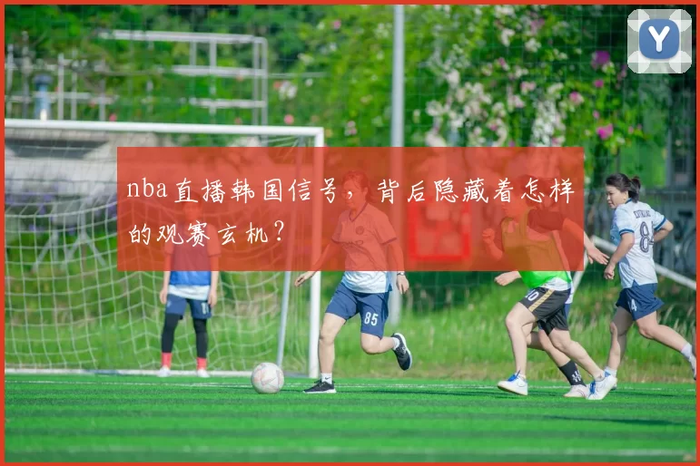 nba直播韩国信号，背后隐藏着怎样的观赛玄机？
