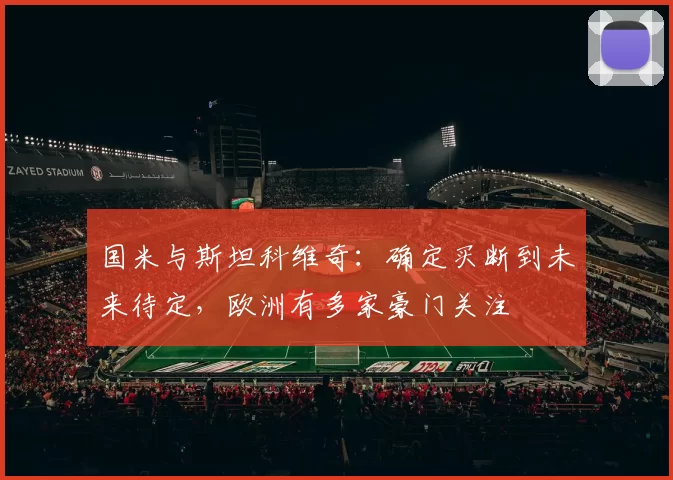 国米与斯坦科维奇：确定买断到未来待定，欧洲有多家豪门关注