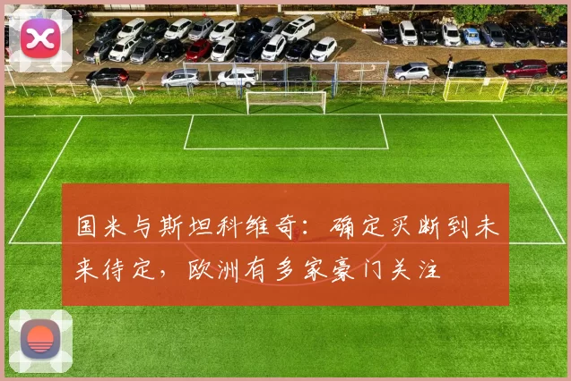 国米与斯坦科维奇：确定买断到未来待定，欧洲有多家豪门关注